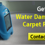 Water Damaged Carpet