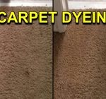 carpet dyeing st paul minneapolis